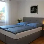 Miete 2 Schlafzimmer wohnung von 58 m² in Albstadt