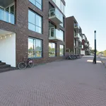 Rent 2 bedroom apartment of 85 m² in Utrecht