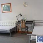 Rent 4 bedroom apartment in Szczecin