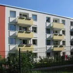 Miete 3 Schlafzimmer wohnung von 69 m² in Bochum