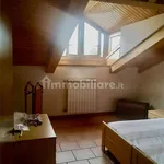 Rent 1 bedroom apartment of 60 m² in Monfalcone