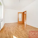 Rent 6 bedroom apartment of 250 m² in Prague