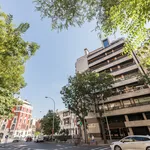 Rent 1 bedroom apartment of 75 m² in Madrid