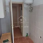 Rent 1 bedroom apartment of 30 m² in Ano Ilisia