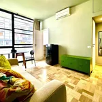 Rent 1 bedroom apartment of 28 m² in Milan