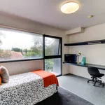 Rent 1 bedroom student apartment in Camberwell