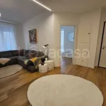 Rent 3 bedroom apartment of 85 m² in Trieste