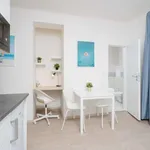 Studio o rozloze 23 m² v prague