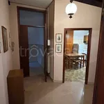 Rent 3 bedroom apartment of 110 m² in Faenza