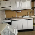 Rent 1 bedroom apartment in Brno