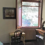 Rent a room in perugia