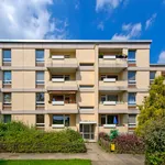 Rent 3 bedroom apartment of 74 m² in Solingen