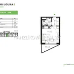 Rent 1 bedroom apartment of 28 m² in České Budějovice