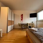 Rent 2 bedroom apartment of 50 m² in Karlsruhe