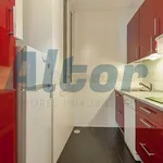 Rent 1 bedroom apartment in Madrid