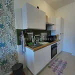 Rent 2 bedroom apartment of 65 m² in Turin