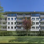 Rent 1 bedroom apartment of 28 m² in Essen