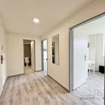 Pronajměte si 2 ložnic/e byt o rozloze 33 m² v Brno