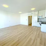 Rent 1 bedroom apartment in Brno