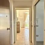 Rent 2 bedroom apartment of 70 m² in Trani