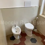 Rent 1 bedroom apartment of 35 m² in Caserta