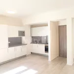 Rent 1 bedroom apartment of 42 m² in Brno