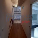 Rent 4 bedroom house of 90 m² in Pisa