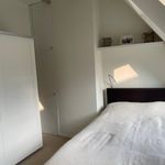 Rent 5 bedroom house of 114 m² in Vogelenbuurt