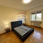 Rent 3 bedroom apartment of 70 m² in Biella