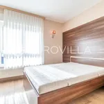 Rent 3 bedroom apartment of 100 m² in Zagreb