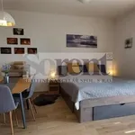 Pronajměte si 1 ložnic/e byt o rozloze 39 m² v Frymburk