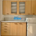 Rent 1 bedroom apartment in Přerov