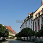 Rent 3 bedroom apartment of 100 m² in Kielce