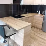 Rent 2 bedroom apartment of 45 m² in szczecin