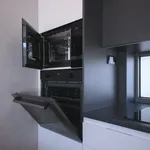 Rent 1 bedroom apartment of 50 m² in Prague