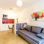 Rent 1 bedroom apartment of 31 m² in Dresden