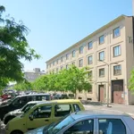 Rent 1 bedroom apartment of 60 m² in milan