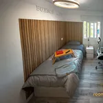 Rent a room of 80 m² in madrid