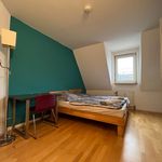 Rent 2 bedroom apartment of 50 m² in Karlsruhe