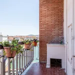 Rent 2 bedroom apartment of 74 m² in Livorno