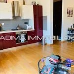 Rent 1 bedroom apartment of 60 m² in Rome