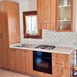 Rent 2 bedroom apartment of 70 m² in olbia