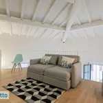 Rent 4 bedroom apartment of 120 m² in Florence