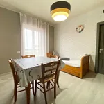 Rent 2 bedroom apartment of 45 m² in Roma