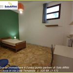 Rent 4 bedroom apartment of 80 m² in Lecce