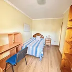 Alquilar 5 dormitorio apartamento en Castellón de la Plana