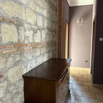 Rent 3 bedroom apartment of 90 m² in Roma