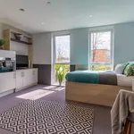 Rent 1 bedroom flat in Colchester