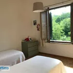 Affitto 4 camera appartamento di 88 m² in Urbino