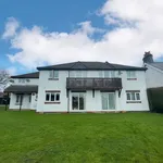 Rent 1 bedroom apartment in Wales